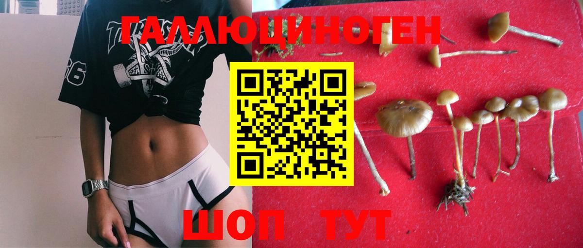 Псилоцибиновые грибы GOLDEN TEACHER  дарнет шоп  Коломна  Вход с VPN 